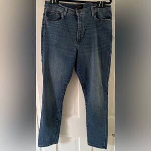 Banana Republic Blue Skinny Curvy Fit Jeans